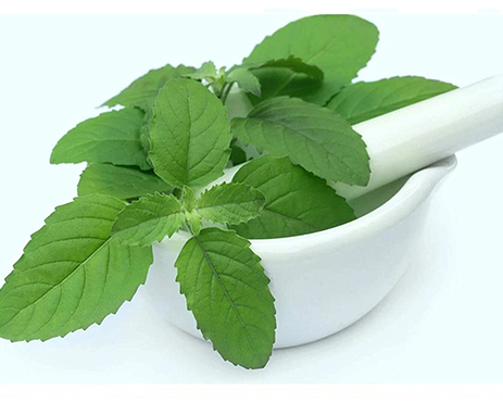 Stamina Booster Capsules